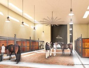 Work begins on The Ark animal handling centre at JFK