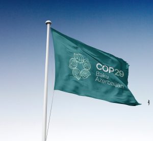 COP29