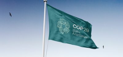 COP29