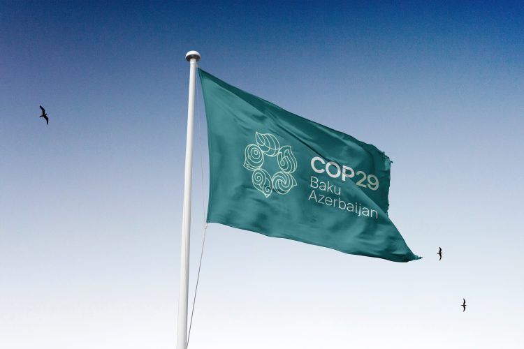 COP29