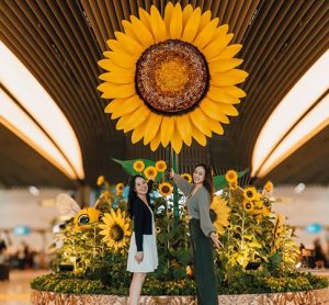 Changi Airport unveils first-ever sunflower-themed showcase