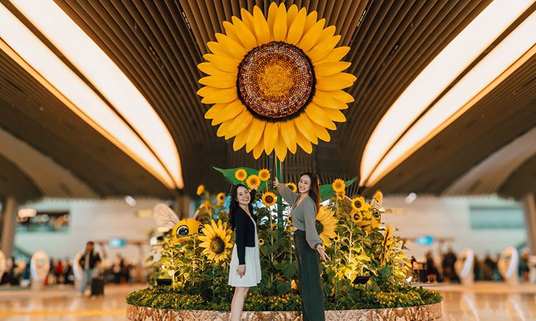 Changi Airport unveils first-ever sunflower-themed showcase